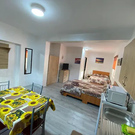 Garsoniera In Vila Lavinia Гостевой дом Текиргьол