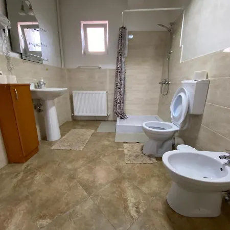 Гостевой дом Garsoniera In Vila Lavinia